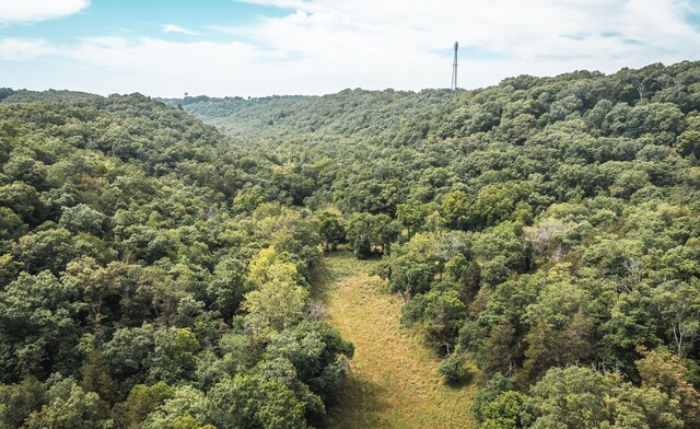 000 State Highway 265, Branson, MO 65616 - photo 14