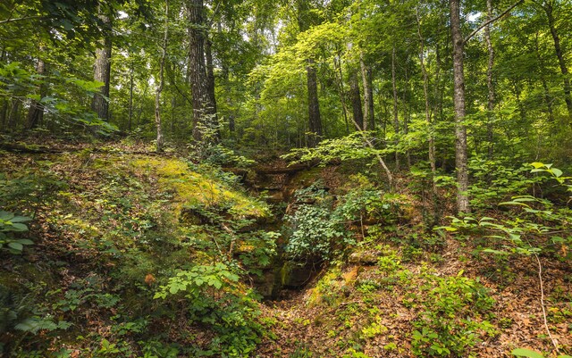 000 State Highway 265, Branson, MO 65616 - photo 28