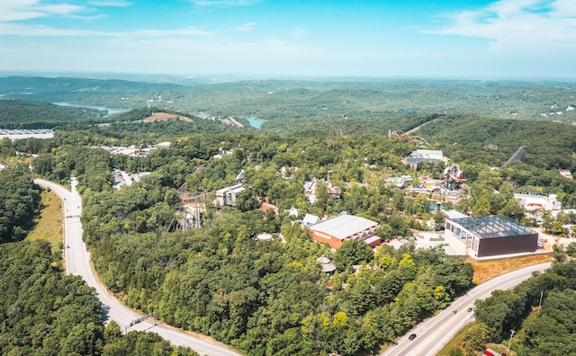 000 State Highway 265, Branson, MO 65616 - photo 12