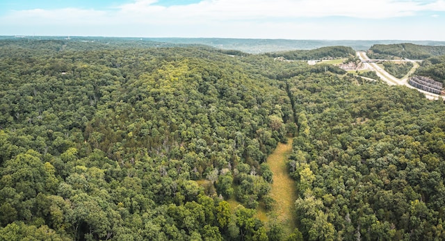 000 State Highway 265, Branson, MO 65616 - photo 5