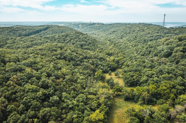 000 State Highway 265, Branson, MO 65616 - photo 19