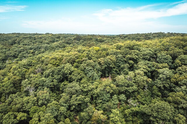 000 State Highway 265, Branson, MO 65616 - photo 17