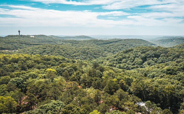 000 State Highway 265, Branson, MO 65616 - photo 6
