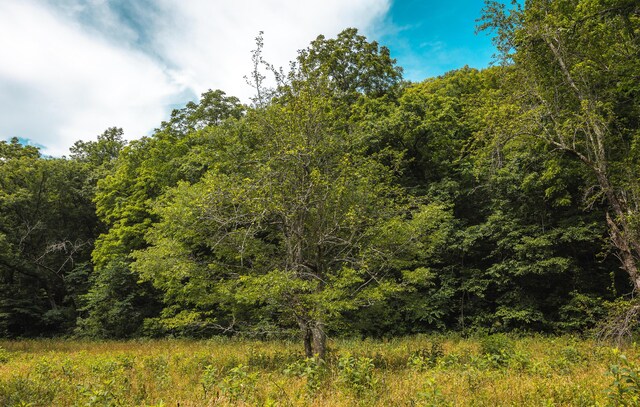 000 State Highway 265, Branson, MO 65616 - photo 27