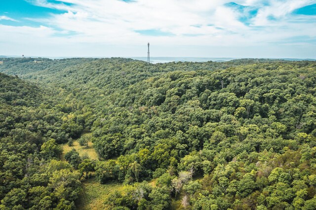 000 State Highway 265, Branson, MO 65616 - photo 18