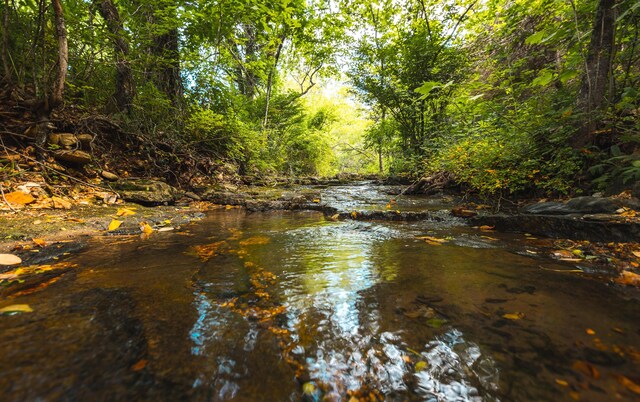 000 State Highway 265, Branson, MO 65616 - photo 20