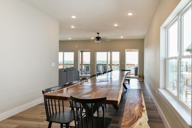 dining area with ceiling fan and hardwood / wood-style flooring