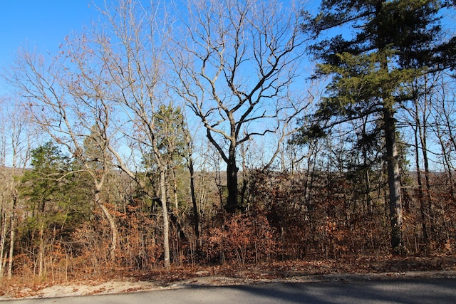 LOT2 Silvercliff Way, Branson West MO, 65737 land for sale