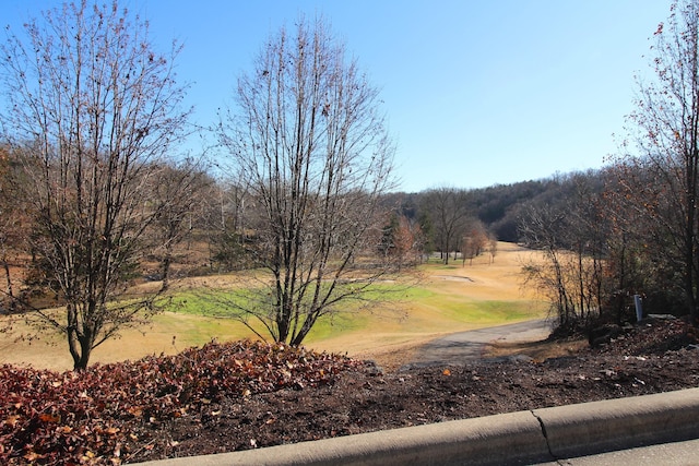 Listing photo 2 for LOT2 Silvercliff Way, Branson West MO 65737