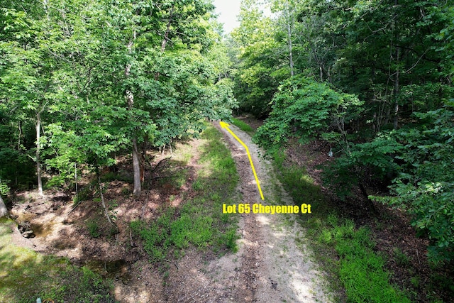 LOT65 Cheyenne Ct, Kays Point Lake Ozark, MO 65049