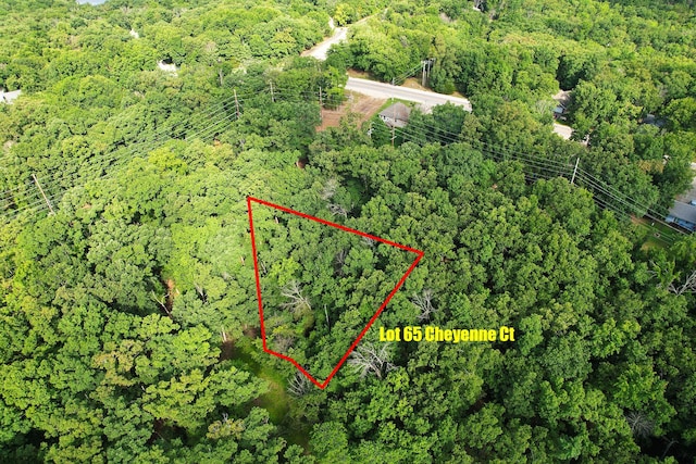 LOT65 Cheyenne Ct, Kays Point Lake Ozark, MO 65049