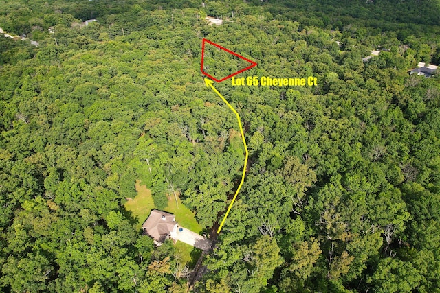 LOT65 Cheyenne Ct, Kays Point Lake Ozark, MO 65049