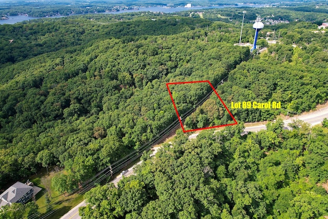 LOT89 Carol Rd, Ridgecrest Lake Ozark, MO 65049