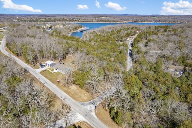 000 Dove Dr, Golden, MO 65658 - photo 22