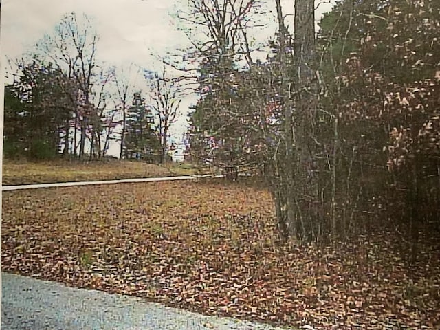 000 Dove Dr, Golden, MO 65658 - photo 10