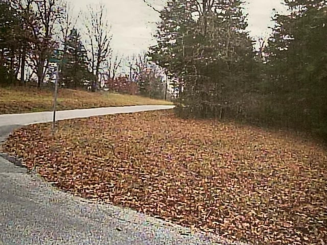 000 Dove Dr, Golden, MO 65658 - photo 5