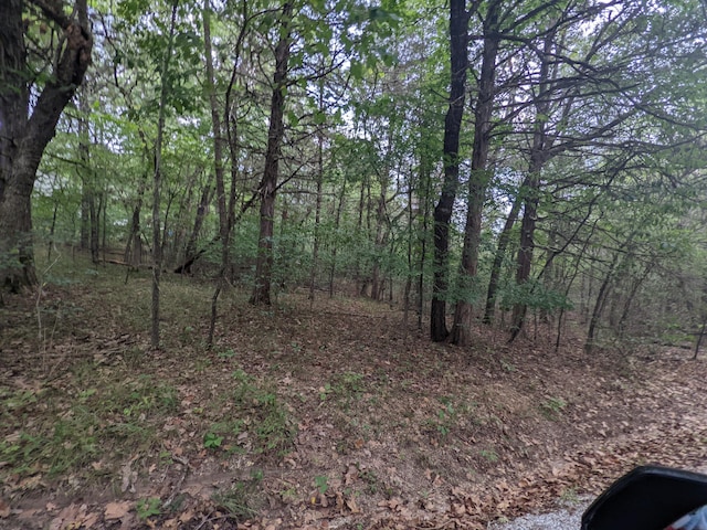 000 Dove Dr, Golden, MO 65658 - photo 4