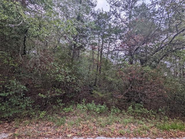 000 Dove Dr, Golden, MO 65658 - photo 6