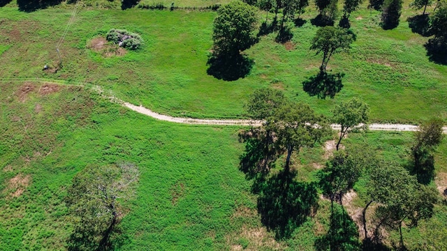 4949 State Route Cc, West Plains, MO 65775 - photo 21