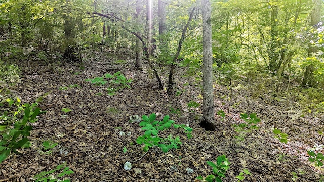 LOT5 Silvercliff Way, Branson West MO, 65737 land for sale