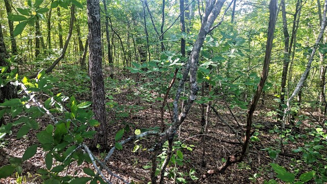 LOT5 Silvercliff Way, Branson West, MO 65737