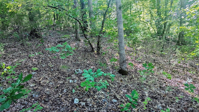 Listing photo 3 for LOT5 Silvercliff Way, Branson West MO 65737