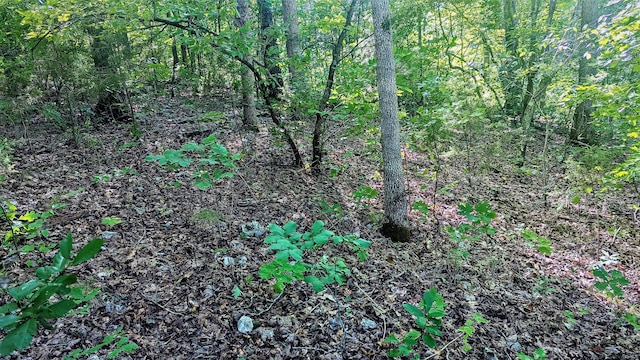 LOT5 Silvercliff Way, Branson West, MO 65737