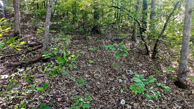 LOT5 Silvercliff Way, Branson West, MO 65737