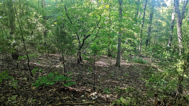 LOT5 Silvercliff Way, Branson West, MO 65737