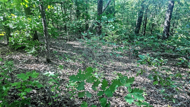 Listing photo 3 for LOT5 Silvercliff Way, Branson West MO 65737