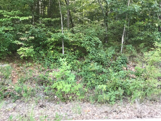 LOT235 E Crescent Dr, Hollister MO, 65672 land for sale