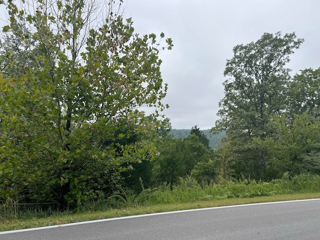 LOT24 Limestone Dr, Branson West MO, 65737 land for sale