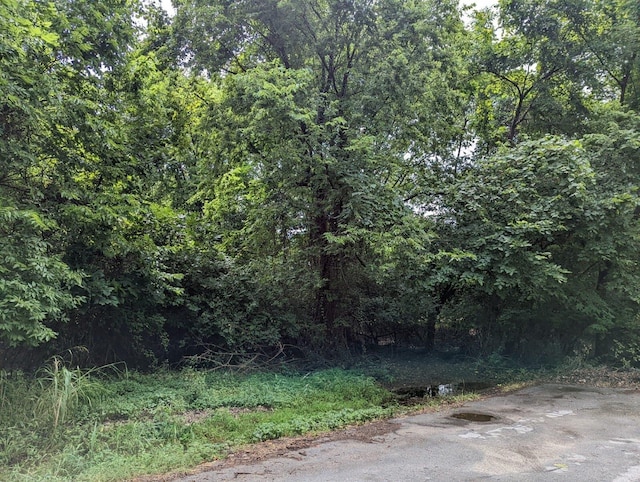 Listing photo 3 for LOT4 N Farm Rd Unit 139, Springfield MO 65803