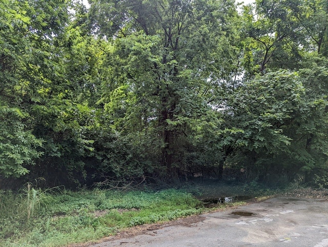 LOT4 N Farm Rd Unit 139, Springfield, MO 65803