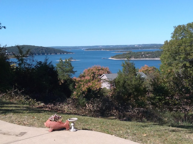 view of water feature