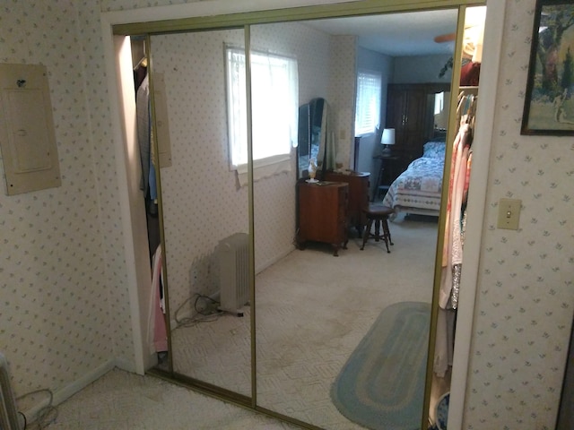 interior space featuring electric panel, a closet, light colored carpet, and radiator