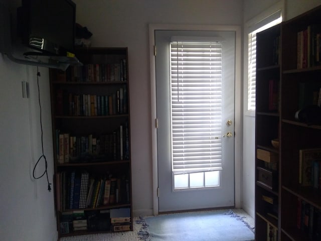 doorway to outside featuring plenty of natural light and carpet