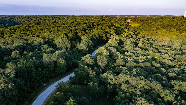 LOT34 Hanging Branch Rdg, Cape Fair MO, 65624 land for sale