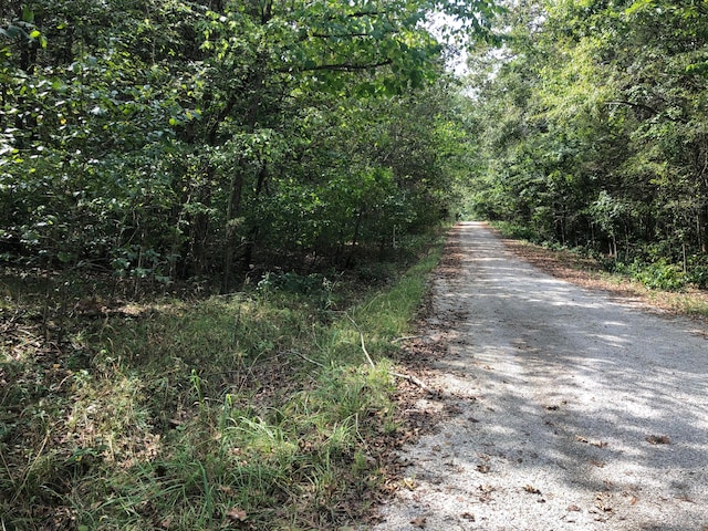 000 A Dr, Golden MO, 65658 land for sale