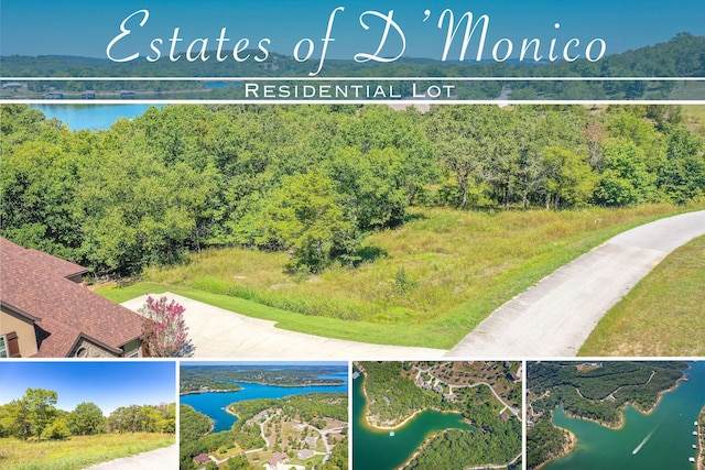 LOT42 Valencia Ct, Blue Eye MO, 65611 land for sale