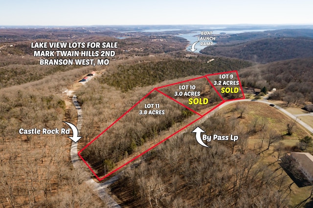 Listing photo 3 for LOT11 By Pass Loop, Branson West MO 65737