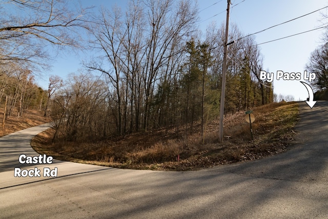 LOT11 By Pass Loop, Branson West, MO 65737 - photo 5