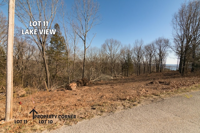 Listing photo 2 for LOT11 By Pass Loop, Branson West MO 65737