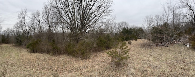 000 Spout Springs Rd, Fordland MO, 65652 land for sale