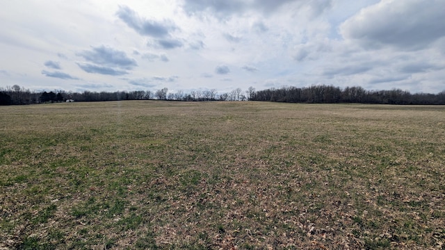TRACTF W Farm Road 61, Willard, MO 65781
