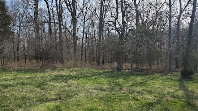 Listing photo 2 for LOT6 N Farm Road 61, Walnut Grove MO 65770