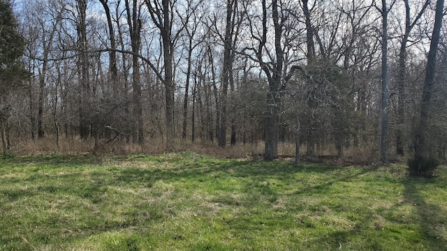 LOT6 N Farm Road 61, Walnut Grove, MO 65770 - photo 2