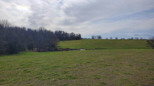 LOT6 N Farm Road 61, Walnut Grove, MO 65770 - photo 4