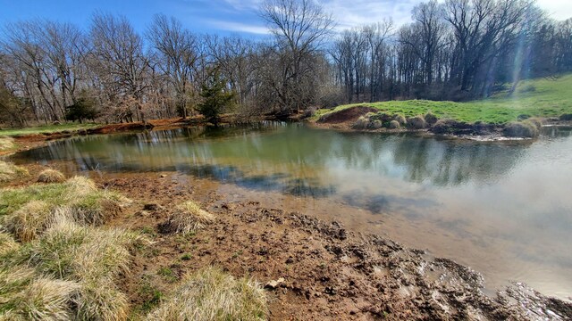 LOT6 N Farm Road 61, Walnut Grove, MO 65770 - photo 6