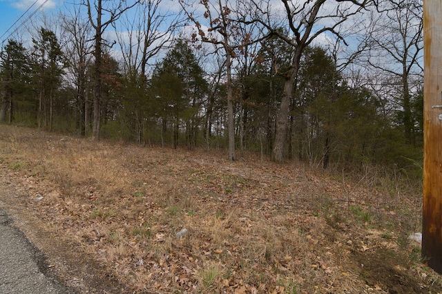 Listing photo 3 for LOT62 Oakwood Rd, Merriam Woods MO 65740